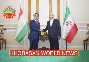 دیدار  رستمی امامعلی و رئیس مجلس شورای اسلامی ایران